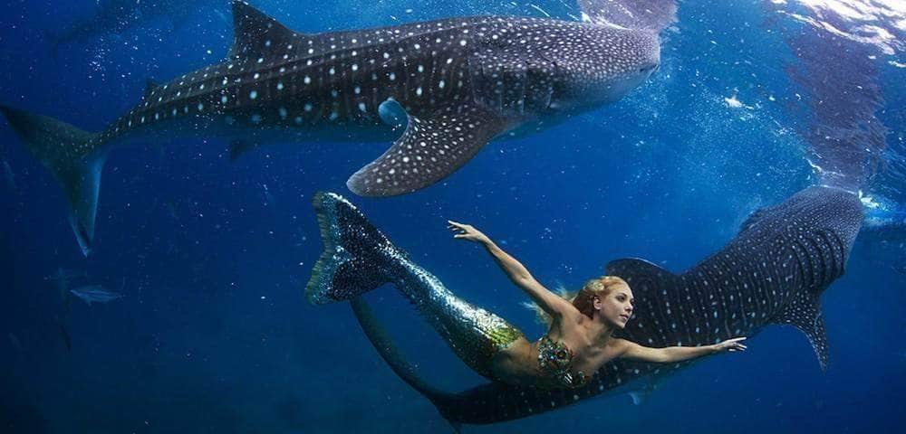Top Things You Didn’t Know About Mermaids