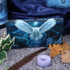 Anne Stokes Awaken Your Magic Owl Embossed Purse | Gothic Giftware - Alternative, Fantasy and Gothic Gifts