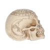 Astrological Skull Engraved With The Zodiac Circle 20cm | Gothic Giftware - Alternative, Fantasy and Gothic Gifts