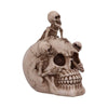 Breaking Free Skeleton Emerging from Skull Ornament 17.7cm | Gothic Giftware - Alternative, Fantasy and Gothic Gifts