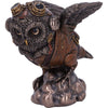 Bronze Learning to Fly Steampunk Owl Figurine | Gothic Giftware - Alternative, Fantasy and Gothic Gifts