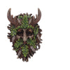 Bryn Wall Mounted Tree Spirit 20.8cm | Gothic Giftware - Alternative, Fantasy and Gothic Gifts