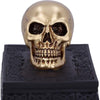Celtic Opulence Golden Skull Black Trinket Box | Gothic Giftware - Alternative, Fantasy and Gothic Gifts