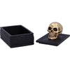 Celtic Opulence Golden Skull Black Trinket Box | Gothic Giftware - Alternative, Fantasy and Gothic Gifts
