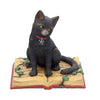 Eclipse Cat Spell Book Figurine Wiccan Witch Gothic Ornament | Gothic Giftware - Alternative, Fantasy and Gothic Gifts