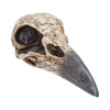 Edgar's Raven Skull Figurine Edgar Allen Poe Ornament | Gothic Giftware - Alternative, Fantasy and Gothic Gifts