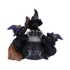 Familiar Cauldron Black Cat Candle Holder 12.5cm | Gothic Giftware - Alternative, Fantasy and Gothic Gifts