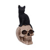 Familiar Fate 24.3cm Black Witches Cat and Skull Figurine | Gothic Giftware - Alternative, Fantasy and Gothic Gifts