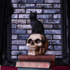 Familiar Fate 24.3cm Black Witches Cat and Skull Figurine | Gothic Giftware - Alternative, Fantasy and Gothic Gifts