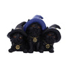 Familiar Felines Black Cats in Witches Hats Figurine | Gothic Giftware - Alternative, Fantasy and Gothic Gifts