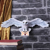 Harry Potter Hedwig Owl Wall Plaque 45cm | Gothic Giftware - Alternative, Fantasy and Gothic Gifts