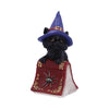 Hocus Small Witches Familiar Black Cat and Spellbook Figurine | Gothic Giftware - Alternative, Fantasy and Gothic Gifts