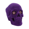 Jewelled Gaze Purple Skull 18.7cm | Gothic Giftware - Alternative, Fantasy and Gothic Gifts