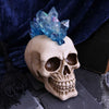 LED Crystal Mohawk Hawk Skull 18cm | Gothic Giftware - Alternative, Fantasy and Gothic Gifts