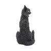Large Black Cat Witches Familiar Figure Salem 32.5cm | Gothic Giftware - Alternative, Fantasy and Gothic Gifts