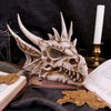 Lumo Luminescent Light Up Dragon Skull | Gothic Giftware - Alternative, Fantasy and Gothic Gifts