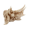 Lumo Luminescent Light Up Dragon Skull | Gothic Giftware - Alternative, Fantasy and Gothic Gifts