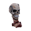 Metallica Pushead Skull 23.5cm | Gothic Giftware - Alternative, Fantasy and Gothic Gifts