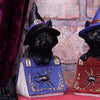Pocus Small Witches Familiar Black Cat and Spellbook Figurine | Gothic Giftware - Alternative, Fantasy and Gothic Gifts