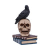 Raven's Spell Figurine 10.3cm | Gothic Giftware - Alternative, Fantasy and Gothic Gifts