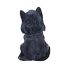 Reapers Feline Cloaked Grim Reaper Cat Figurine | Gothic Giftware - Alternative, Fantasy and Gothic Gifts