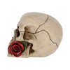 Rose From the Dead Skull Ornament 15cm | Gothic Giftware - Alternative, Fantasy and Gothic Gifts
