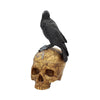 Salems Familiar Box Gothic Raven Skull Witch Pentagram Trinket Box | Gothic Giftware - Alternative, Fantasy and Gothic Gifts