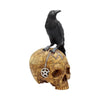 Salems Familiar Box Gothic Raven Skull Witch Pentagram Trinket Box | Gothic Giftware - Alternative, Fantasy and Gothic Gifts