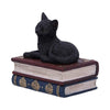 Salems Spells Witches Familiar Black Cat and Spellbook Box | Gothic Giftware - Alternative, Fantasy and Gothic Gifts
