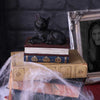 Salems Spells Witches Familiar Black Cat and Spellbook Box | Gothic Giftware - Alternative, Fantasy and Gothic Gifts