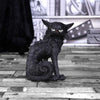 Small Black Cat Witches Familiar Figure Salem | Gothic Giftware - Alternative, Fantasy and Gothic Gifts