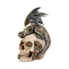 Steel Wing Skull 21cm | Gothic Giftware - Alternative, Fantasy and Gothic Gifts