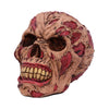 The Hoard Rotting Zombie Skull Ornament | Gothic Giftware - Alternative, Fantasy and Gothic Gifts