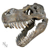 Tyrannosaurus Rex Large Dinsoaur Skull 51.5cm | Gothic Giftware - Alternative, Fantasy and Gothic Gifts