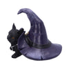 Witches Cat and Hat Figurine 10.5cm | Gothic Giftware - Alternative, Fantasy and Gothic Gifts