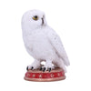 Wizard's Familiar Owl Figurine 10cm | Gothic Giftware - Alternative, Fantasy and Gothic Gifts