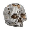 Small Alternative Fracture Skull 11cm